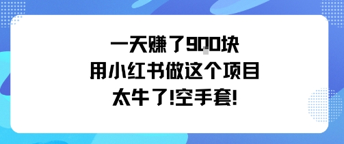 一天挣了9张用小红书做这个项目太牛了，空手套-jixi