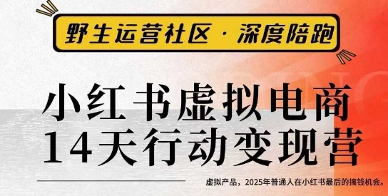 小红书虚拟电商14天变现训练营3.0，​虚拟产品，2025年普通人在小红书最后的搞钱机会-jixi