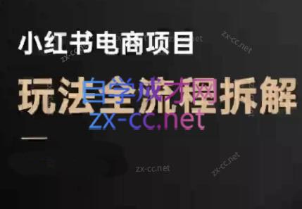 菲菲老师·小红书电商玩法(更新9月)-jixi