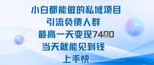 2025年小白都能做的私域项目引流负债人群最高一天变现1k+高变现难度低当天就能见到钱上手快-jixi