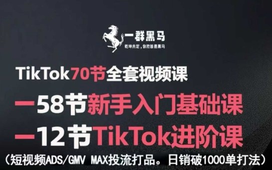 TikTok全套视频课，新手入门+进阶课，短视频ADS-GMV MAX投流打品，日销破1000单打法-jixi