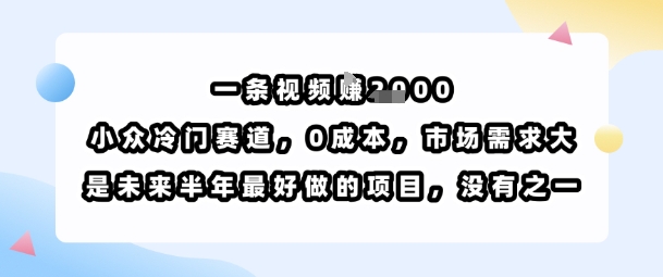 一条视频挣1k，小众冷门赛道，0成本，市场需求大，是未来半年最好做的项目，没有之一-jixi