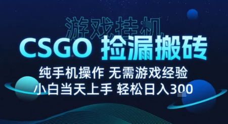 8月最新游戏搬砖，CSGO纯挂G，不需要玩游戏，实现真挂G，月入1W+【揭秘】-jixi