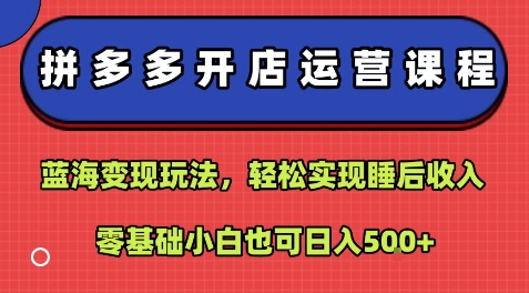 拼多多开店运营课程：蓝海变现玩法，轻松实现睡后收入，零基础小白也可日入5张-jixi