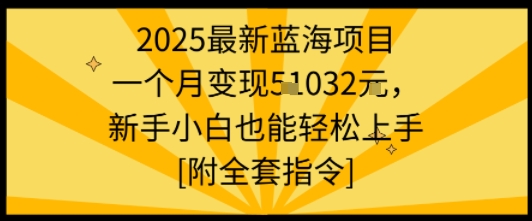 2025最新蓝海项目一个月变现1w+新手小白也能轻松上手【附全套指令】-jixi