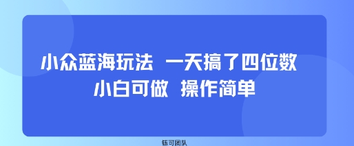 小众蓝海玩法 一天搞了四位数 小白可做 操作简单-jixi