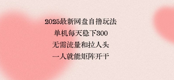 2025最新网盘自撸玩法，单机每天稳下3张，无需流量和拉人头，一个人就可轻松矩阵，全网独一份【揭秘】-jixi