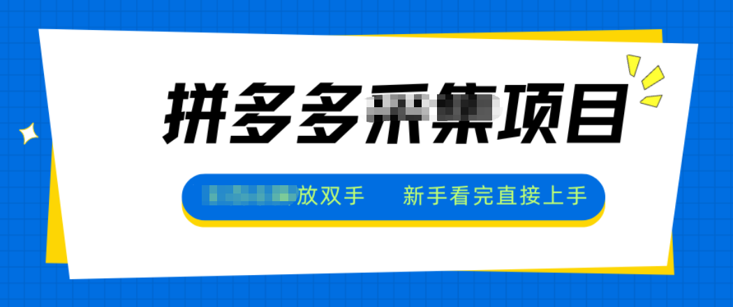 拼多多电商采集，一小时50+，操作简单，零投资-jixi