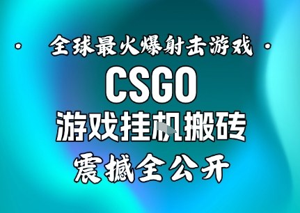 【年底大揭秘】基于全球最火爆的射击CSGO游戏挂G搬砖，日入5张+，震撼公开-jixi
