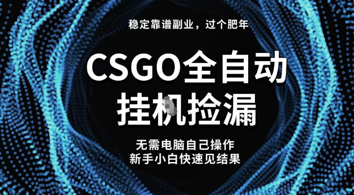 【稳定副业】全球最热门游戏CSGO全自动捡漏，最新玩法，新手小白日入5张+【揭秘】-jixi